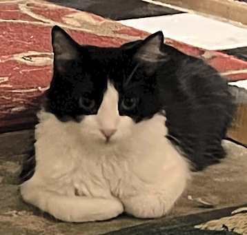 Photo of Moxy