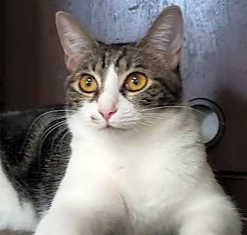 Photo of Sharleen #stunning-whiskers