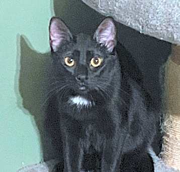 Photo of Luna