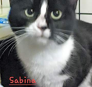 Photo of Sabina