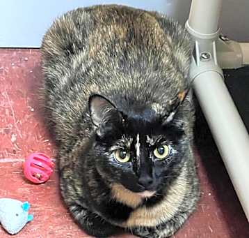 Photo of Matilda