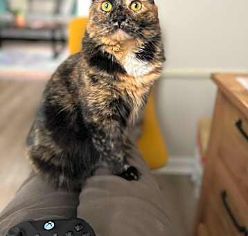 Photo of Rosie