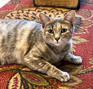 Photo of Emi