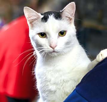 Photo of Duncan