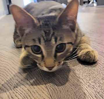 Photo of Zeus
