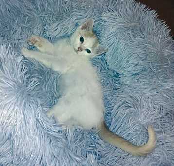 Photo of MONTECOR