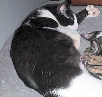 Photo of Thumbelina