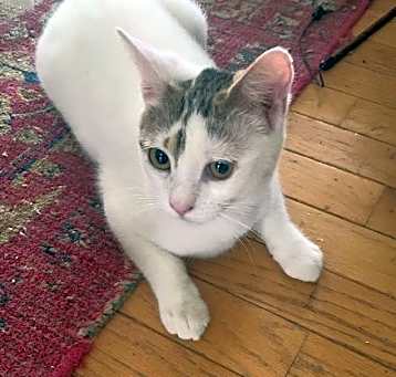 Photo of Oatmeal