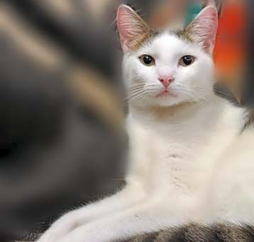 Photo of Simon
