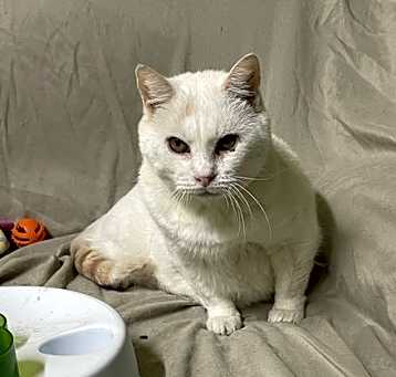 Photo of Murphy