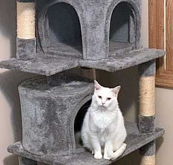 Photo of Gala