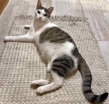 Photo of Dot Dot