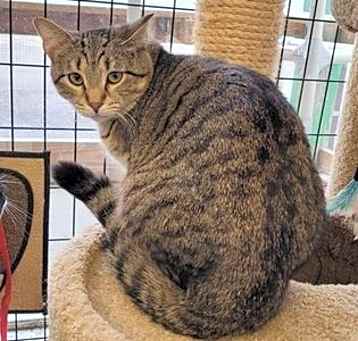 Photo of Jillian