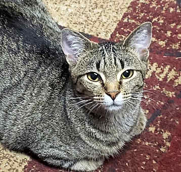 Photo of Roo