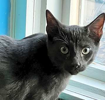 Photo of Skrunchy