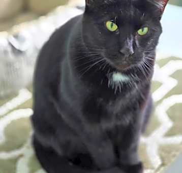 Photo of Tazzy