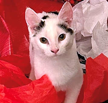 Photo of Fiona