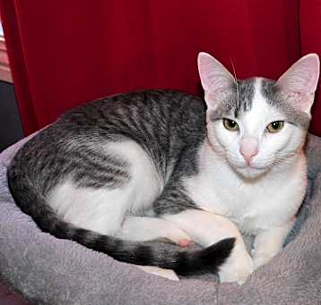 Photo of Tito