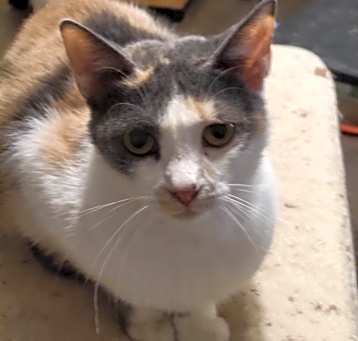 Photo of Macy