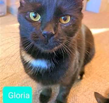 Photo of Gloria