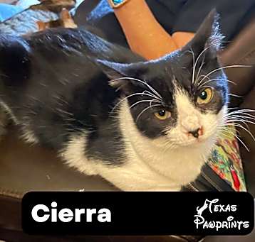 Photo of Cierra