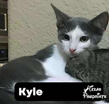 Photo of Kyle