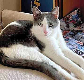 Photo of Bright