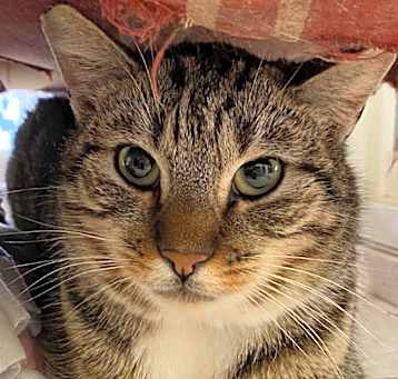 Photo of JEFFIE