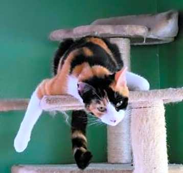 Photo of Rosalita