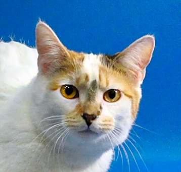Photo of Princess Rocky