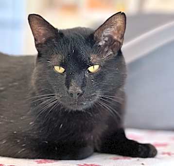 Photo of Jag