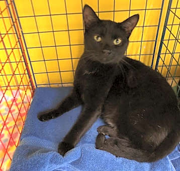 Photo of FREYA