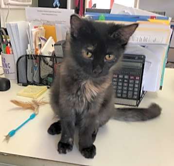 Photo of STORM!