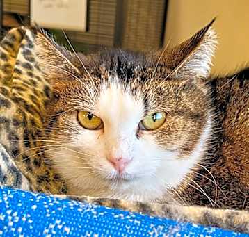 Photo of Hera