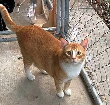 Photo of Willy
