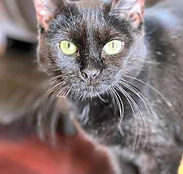Photo of Sabrina