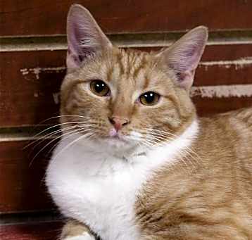 Photo of Gabriel