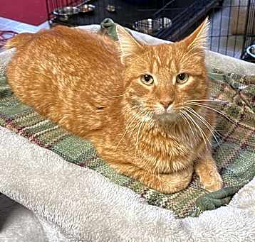 Photo of Mr. Peepers
