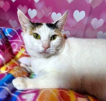 Photo of Pretty Girl