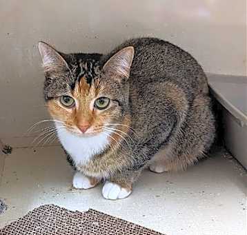 Photo of Miss Bossy