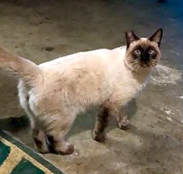 Photo of Clarence