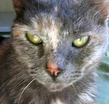 Photo of Anneka