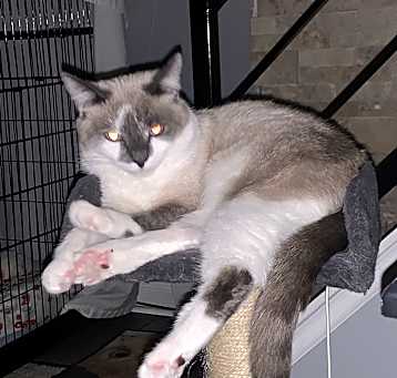 Photo of Precious