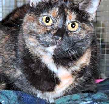 Photo of Esperanza
