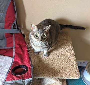 Photo of NALA