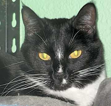 Photo of Marble