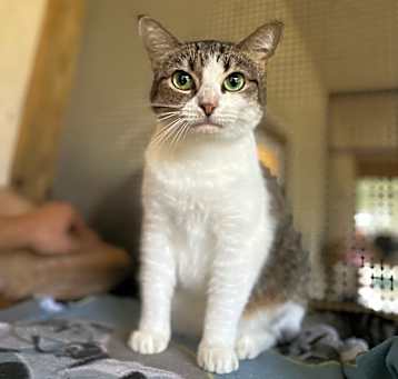 Photo of Leia