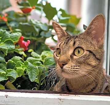 Photo of Maxi