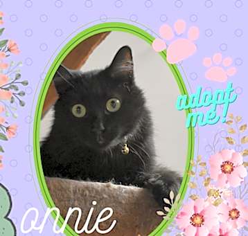 Photo of Bonnie