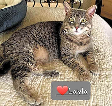Photo of Layla